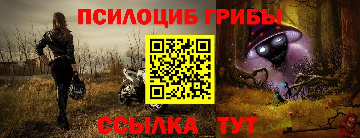 Псилоцибиновые грибы мицелий  Вход с VPN  Гатчина 