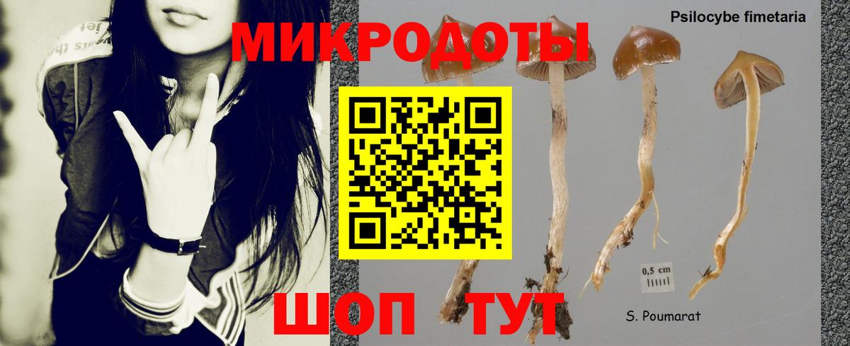 Псилоцибиновые грибы GOLDEN TEACHER Гатчина